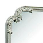 overhanging door mirror